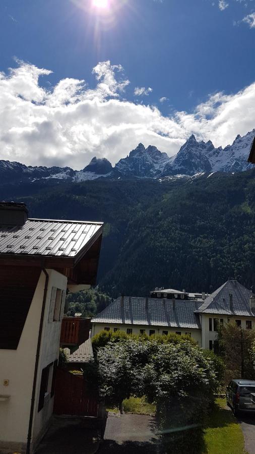 Appartement Typique,Chaleureux Et Pratique Chamonix Eksteriør billede