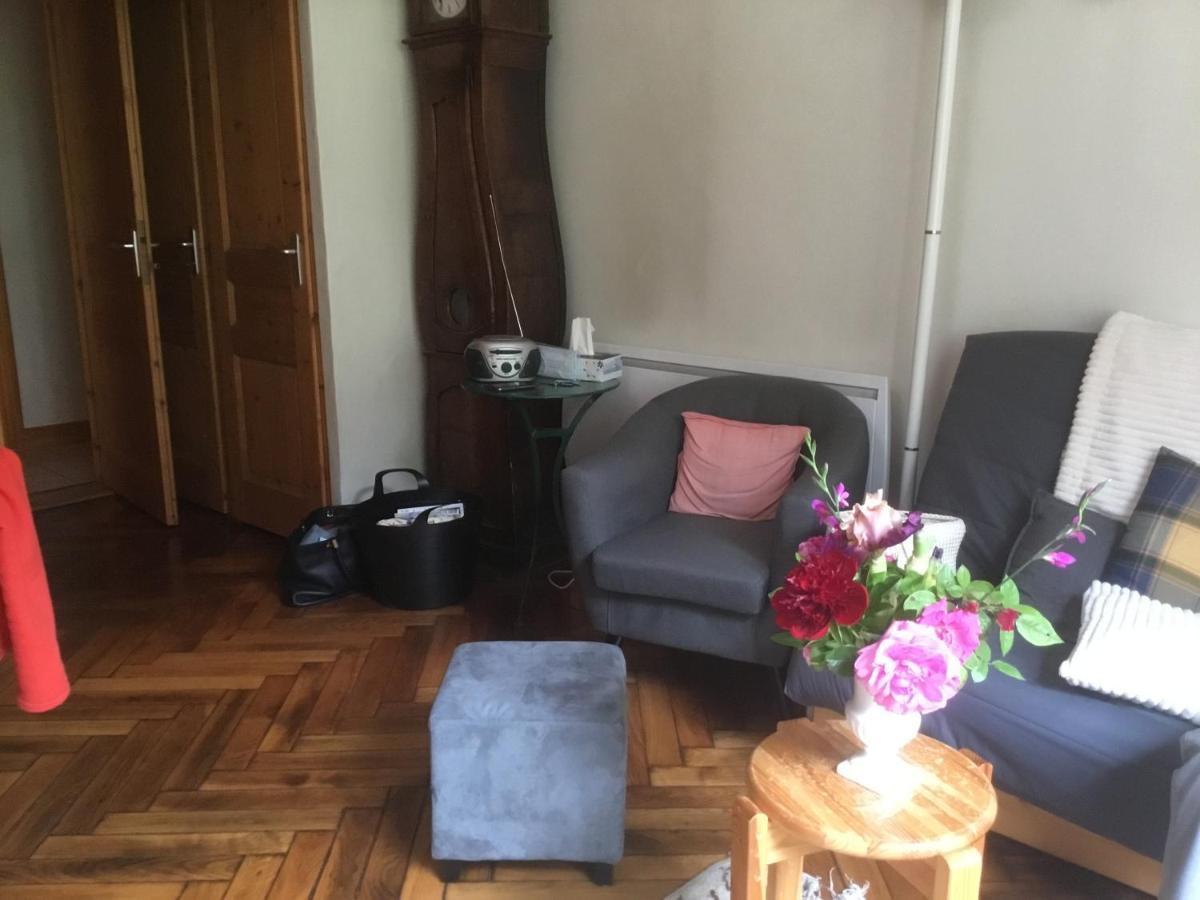 Appartement Typique,Chaleureux Et Pratique Chamonix Eksteriør billede